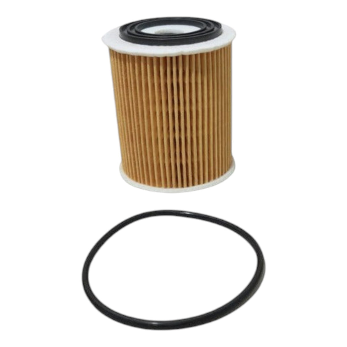 Filtro de aceite KENAI´S COM para Ram 700 1.6L con empaque de goma circular incluido